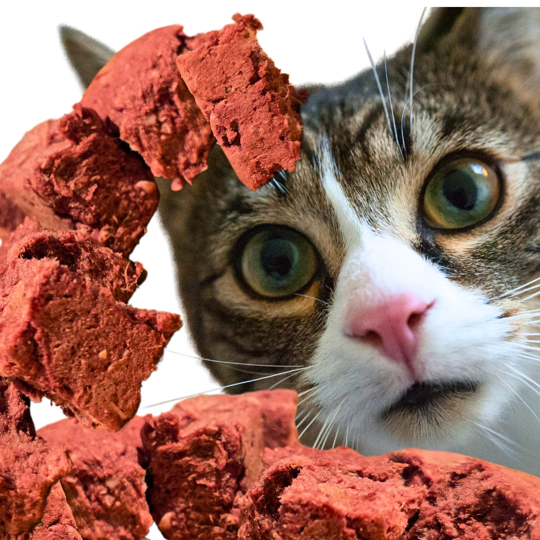 Freeze Dried Premium Cat Mix - Image 3