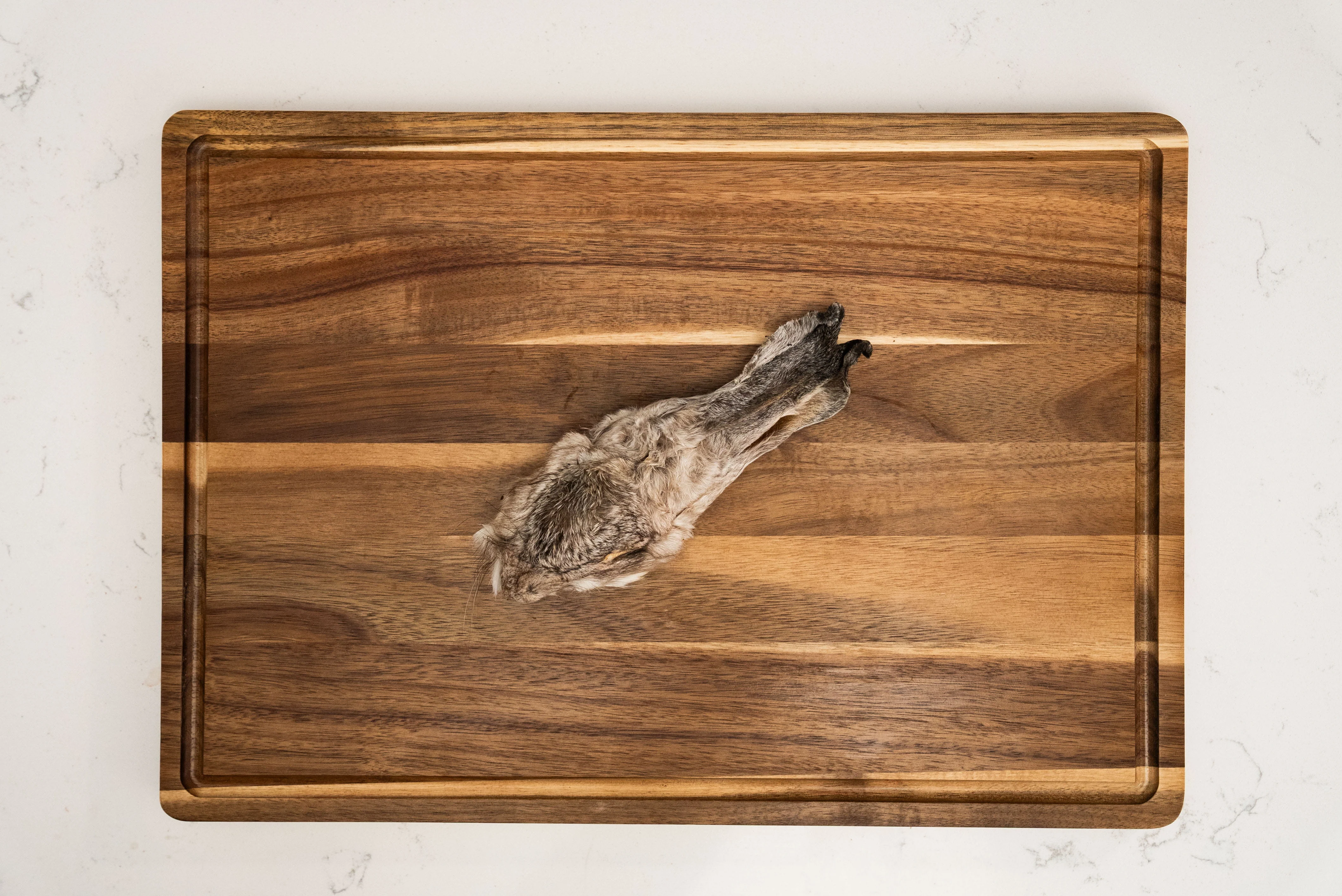 Dehydrated Rabbit Heads - Image 2