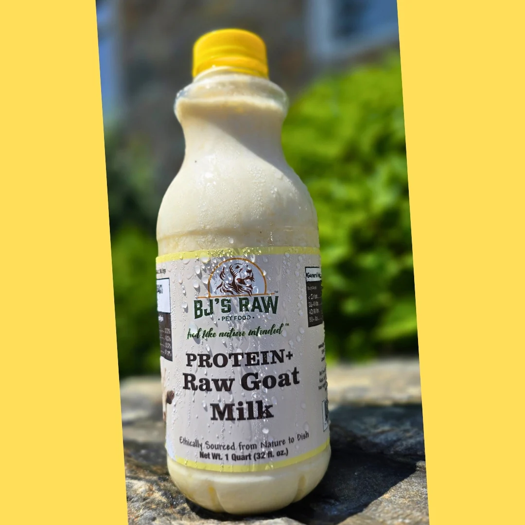 Blueberry, Strawberry & Protein+ <br> Raw Goat Milk - Image 2